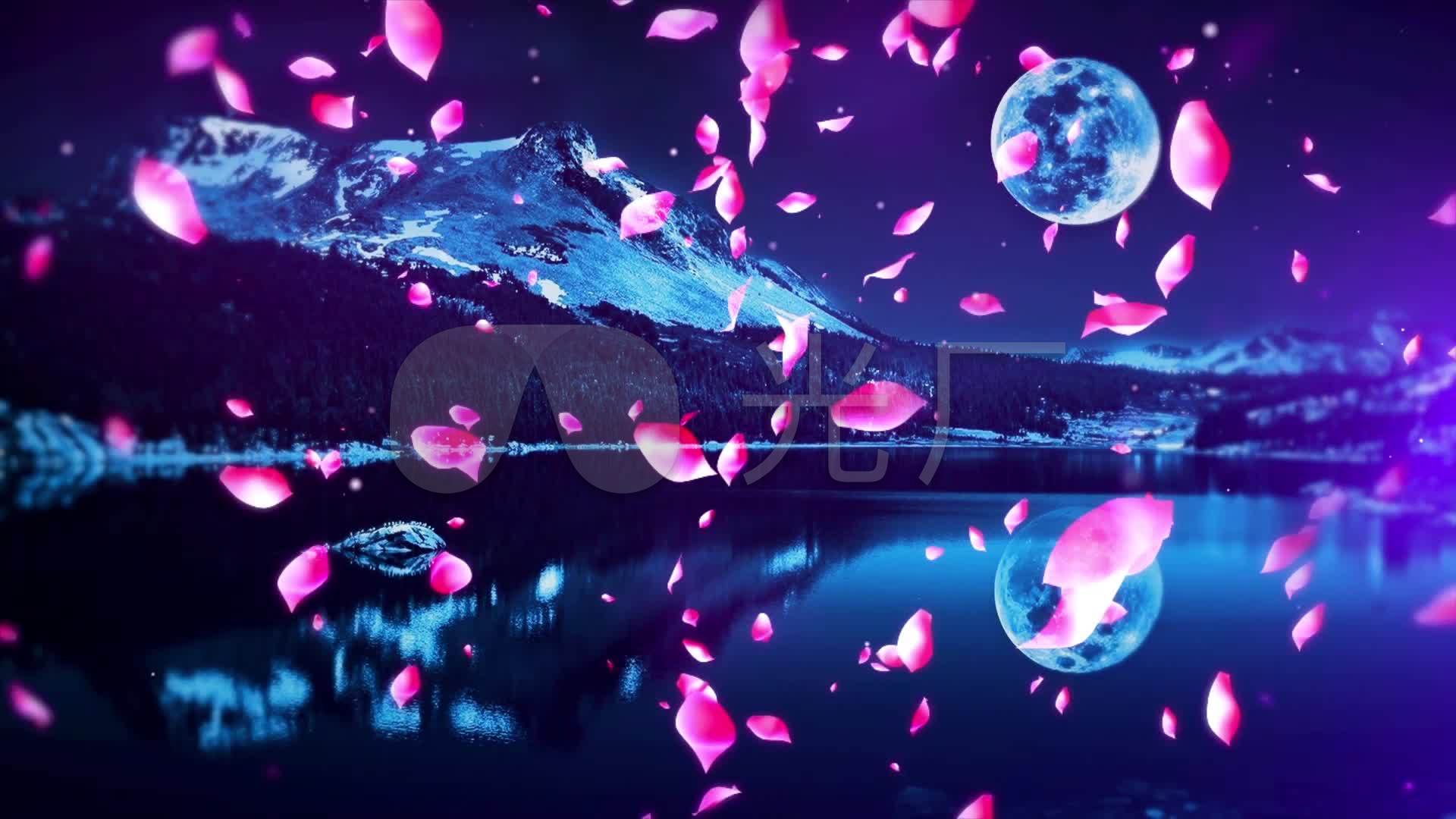超唯美梦幻月夜浪漫花瓣飘落视频素材