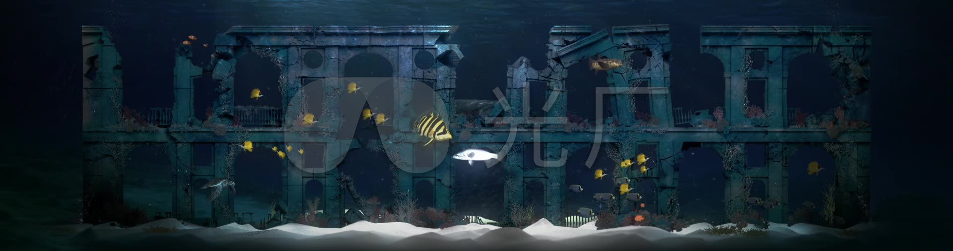 震撼壮观海底游鱼海洋馆3d全息投影_1920x506_高清视频素材下载(编号