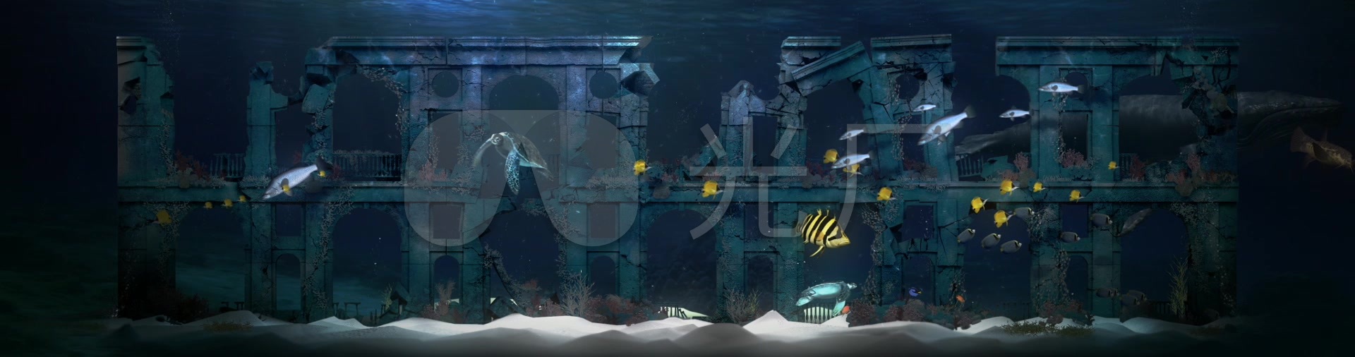震撼壮观海底游鱼海洋馆3d全息投影_1920x506_高清视频素材下载(编号