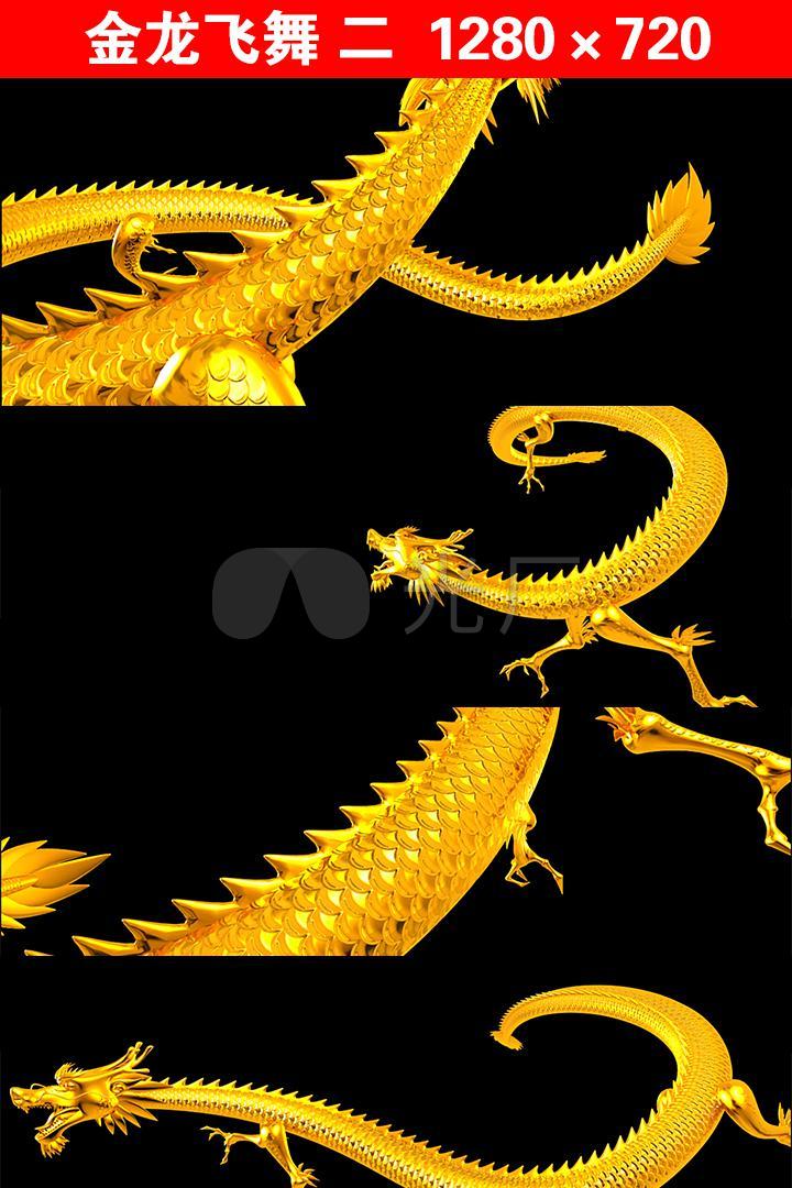 高清无损极品金龙飞舞样式二