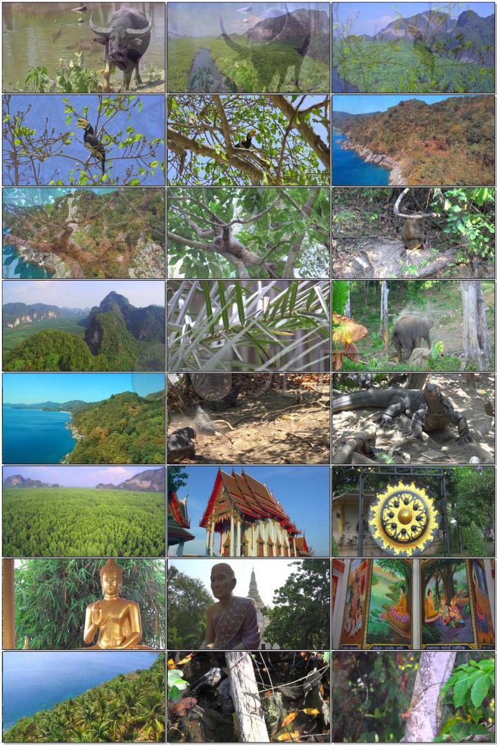【4K】精彩泰国自然风景旅游宣传片素材包_3