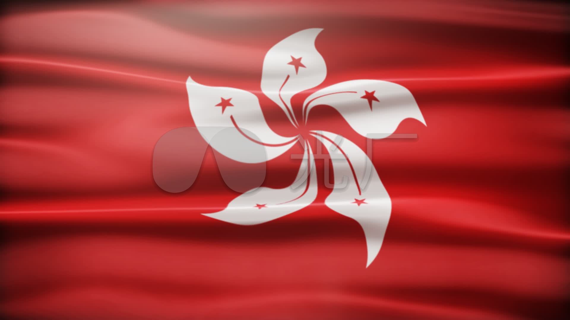 紫荆花旗香港区旗飘扬旗帜招展中国梦统一