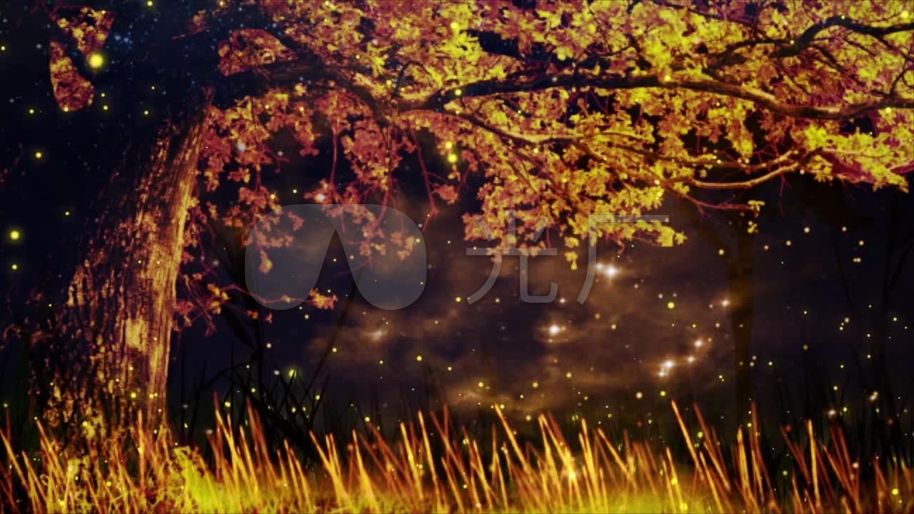 唯美梦幻大树粒子仙境led视频素材