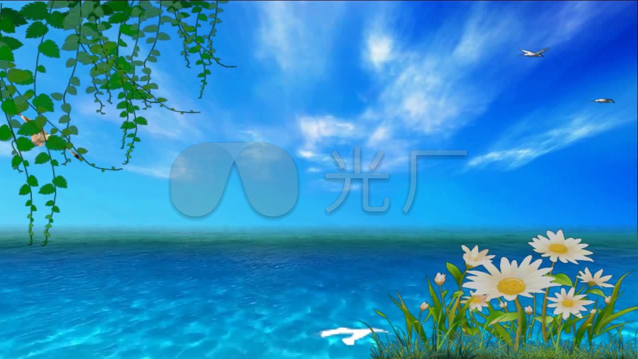 动感 蓝天白云 蓝色大海 飞鸟