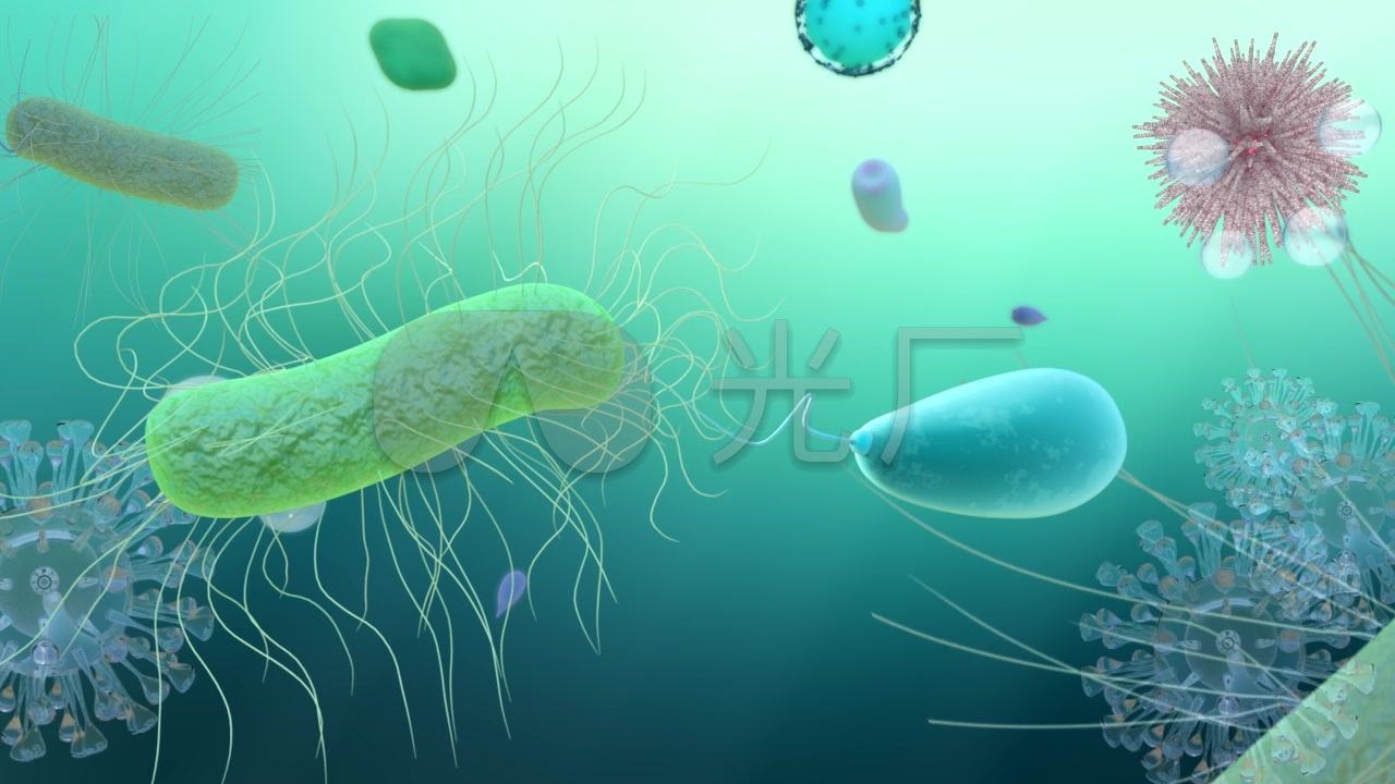 微生物细胞放大