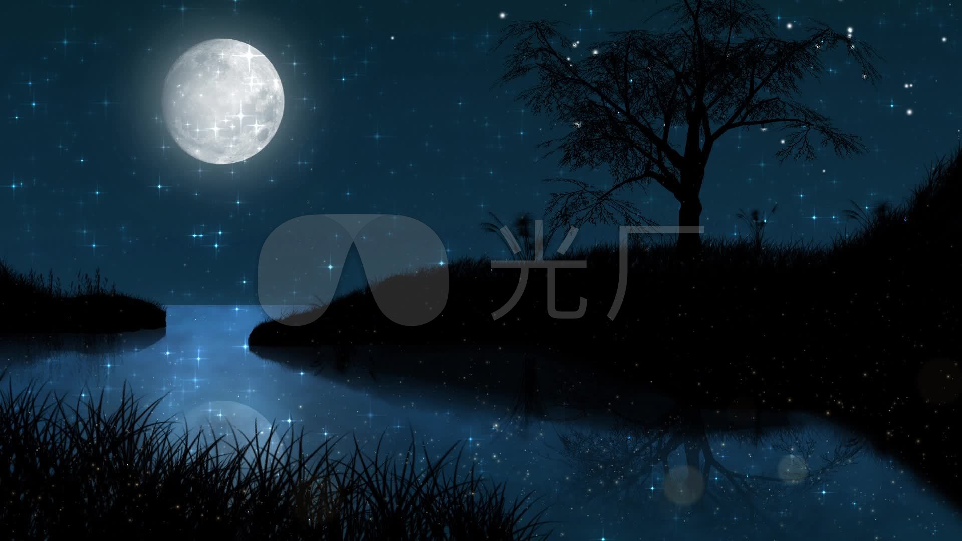 月夜旷野背景视频