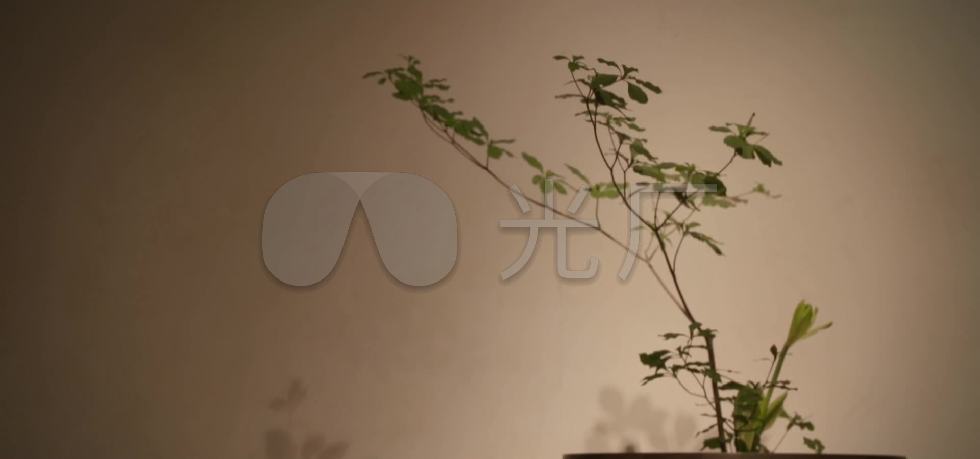 唯美茶室古香古色