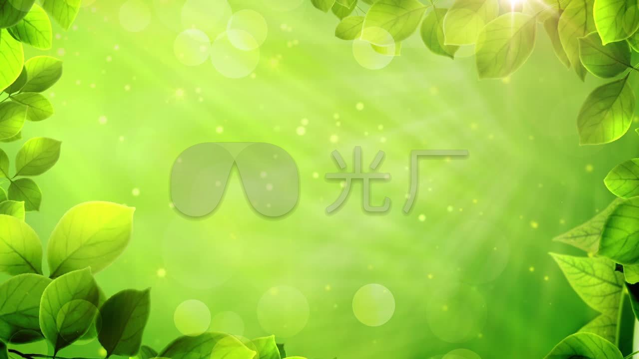 春天绿叶阳光背景素材舞台背景