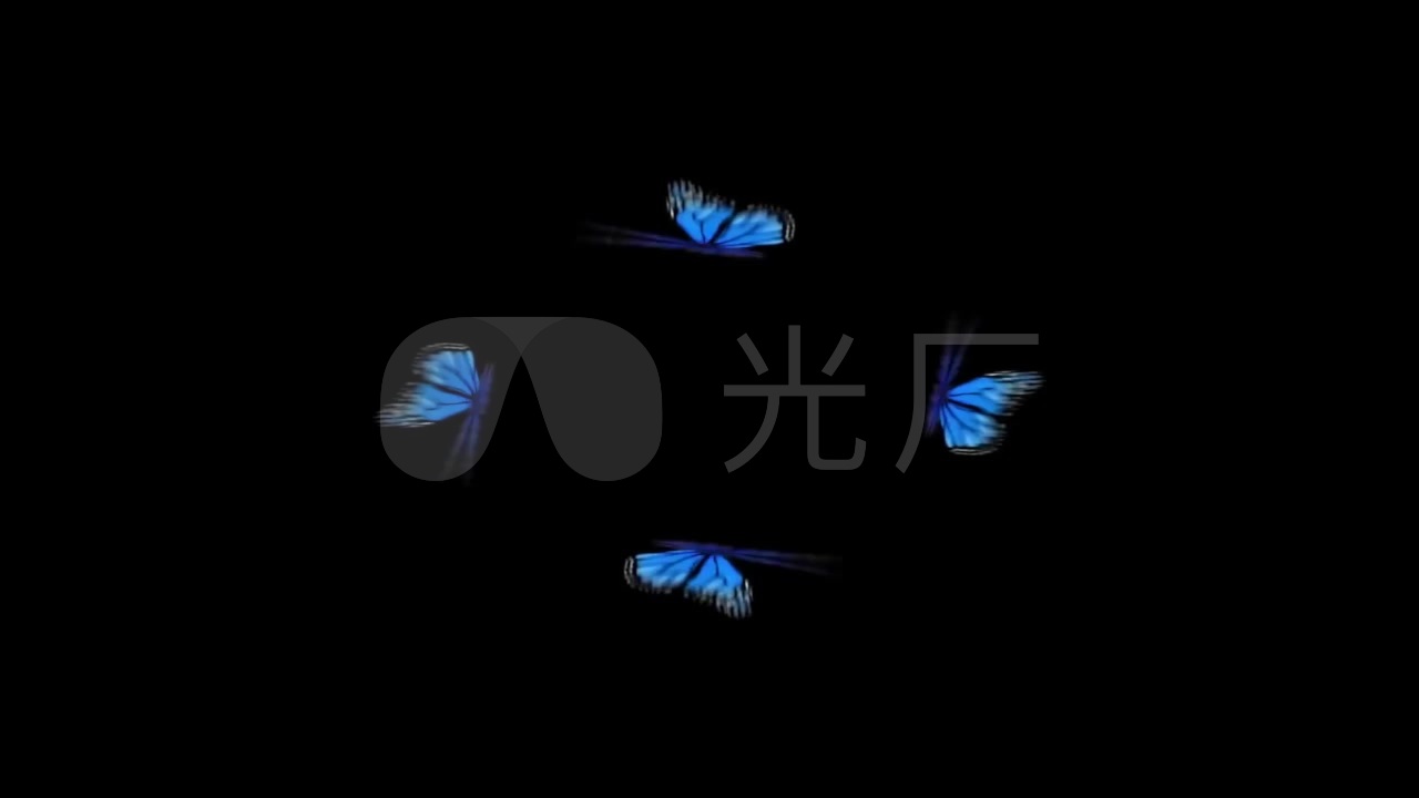 唯美全息投影多种蝴蝶素材