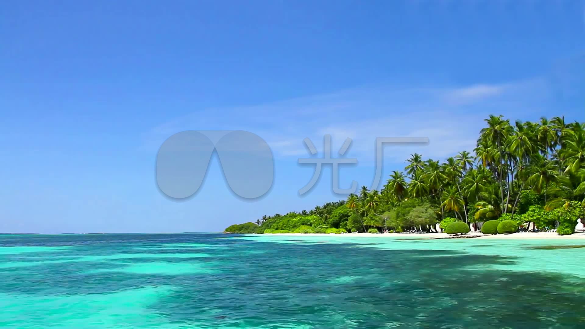大海椰子树背景素材
