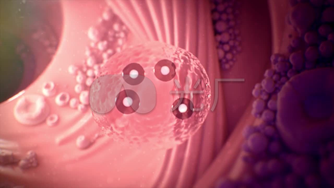 身份受孕生命孕育证号动画怀孕_1280X720_高如何用精子子宫查机票图片