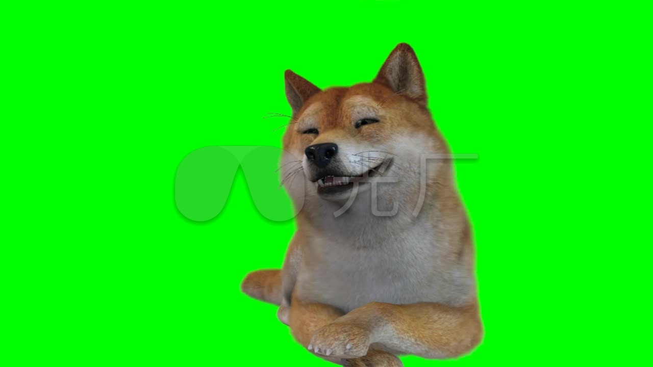土狗绿屏抠像素材绿幕素材绿幕抠像