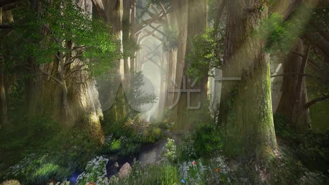 魔幻森林,原始森林,丛林,树林,鸟语花香_1280x720_(:.