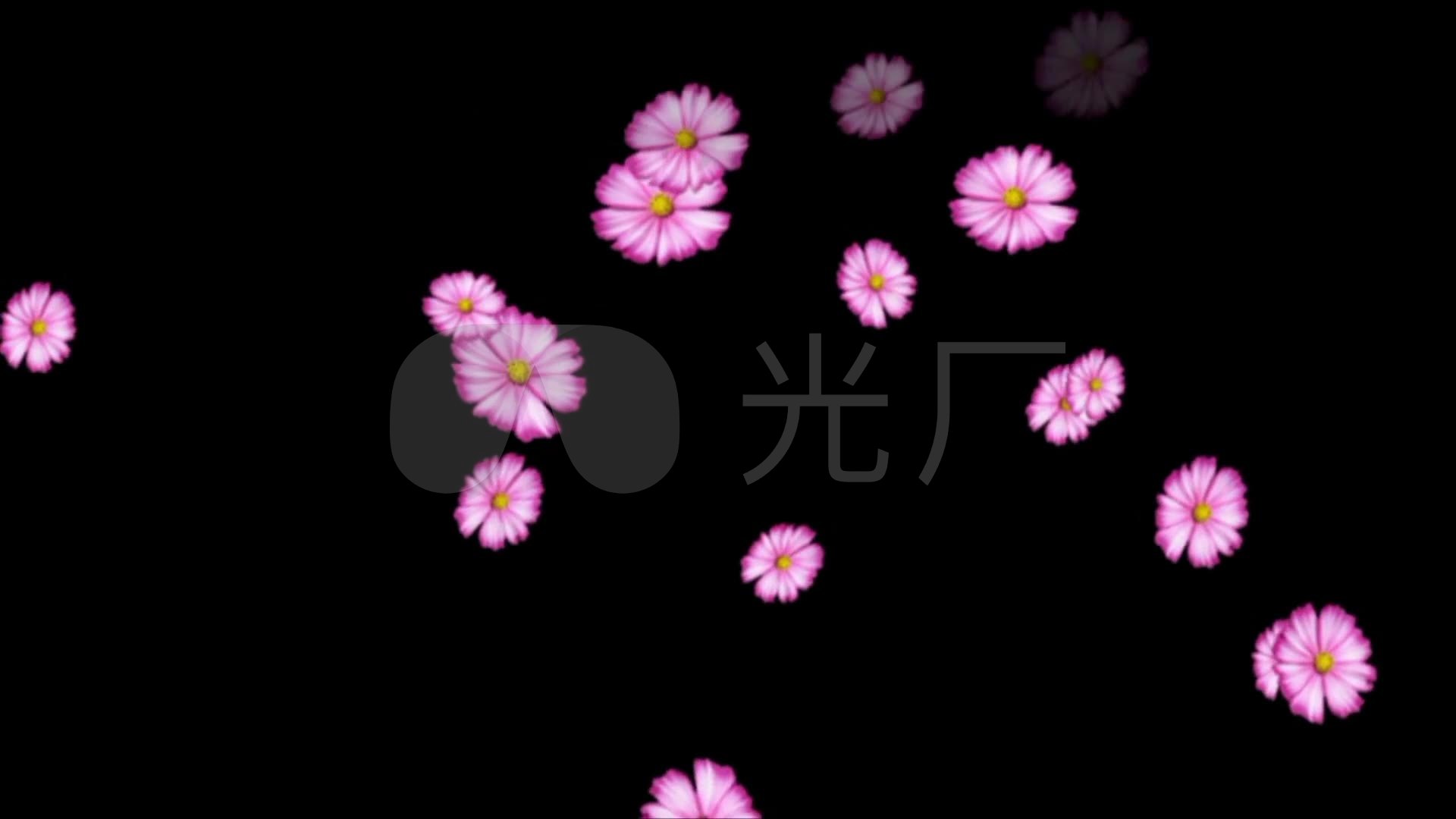 小花飘落单色黑底抠像素材