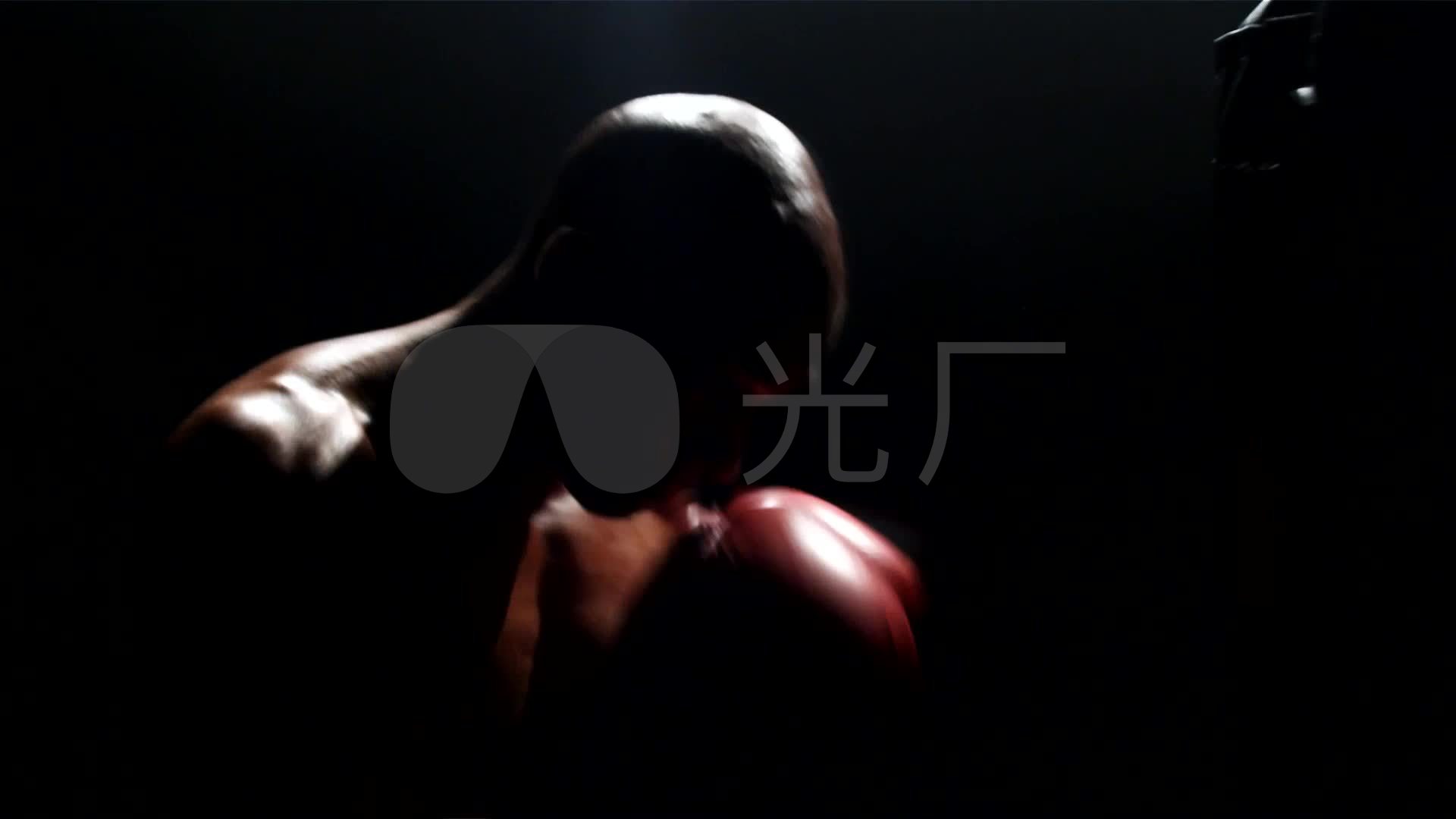 拳击壁纸1080,拳击壁纸1920 拳击运动_1920x1080_高清视频素材下载(编号:559592)