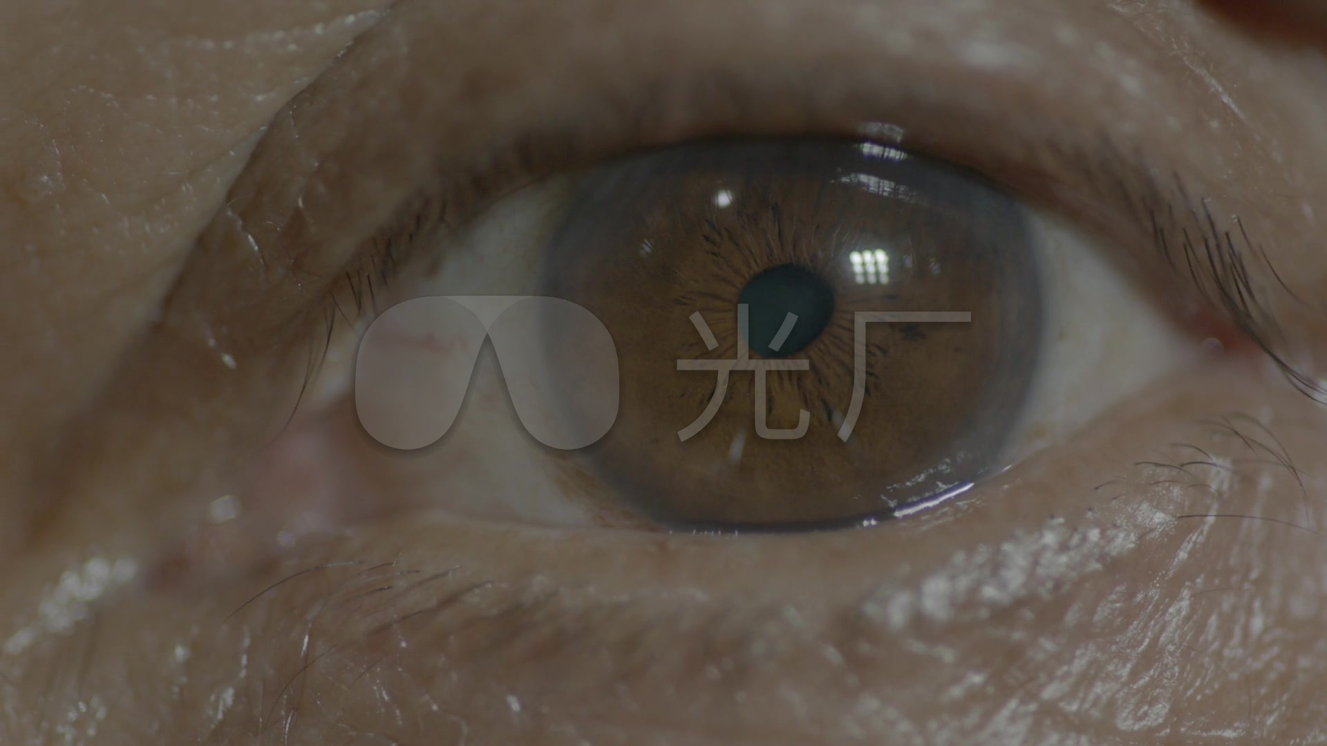 眼睛特写镜头1080p_1920x1080_高清视频素材下载(编号