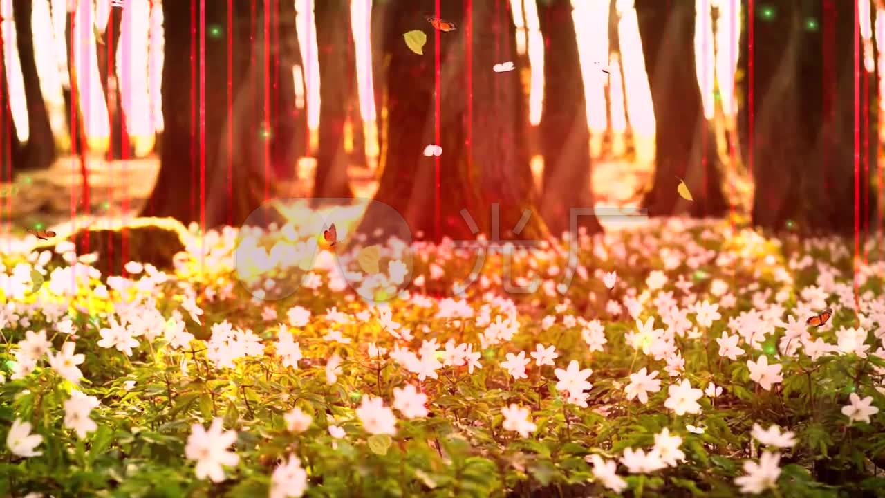 唯美花丛