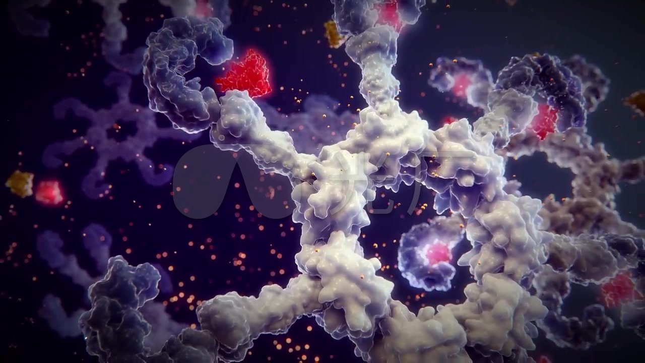 白细胞介素-1在炎症疾病上的作用