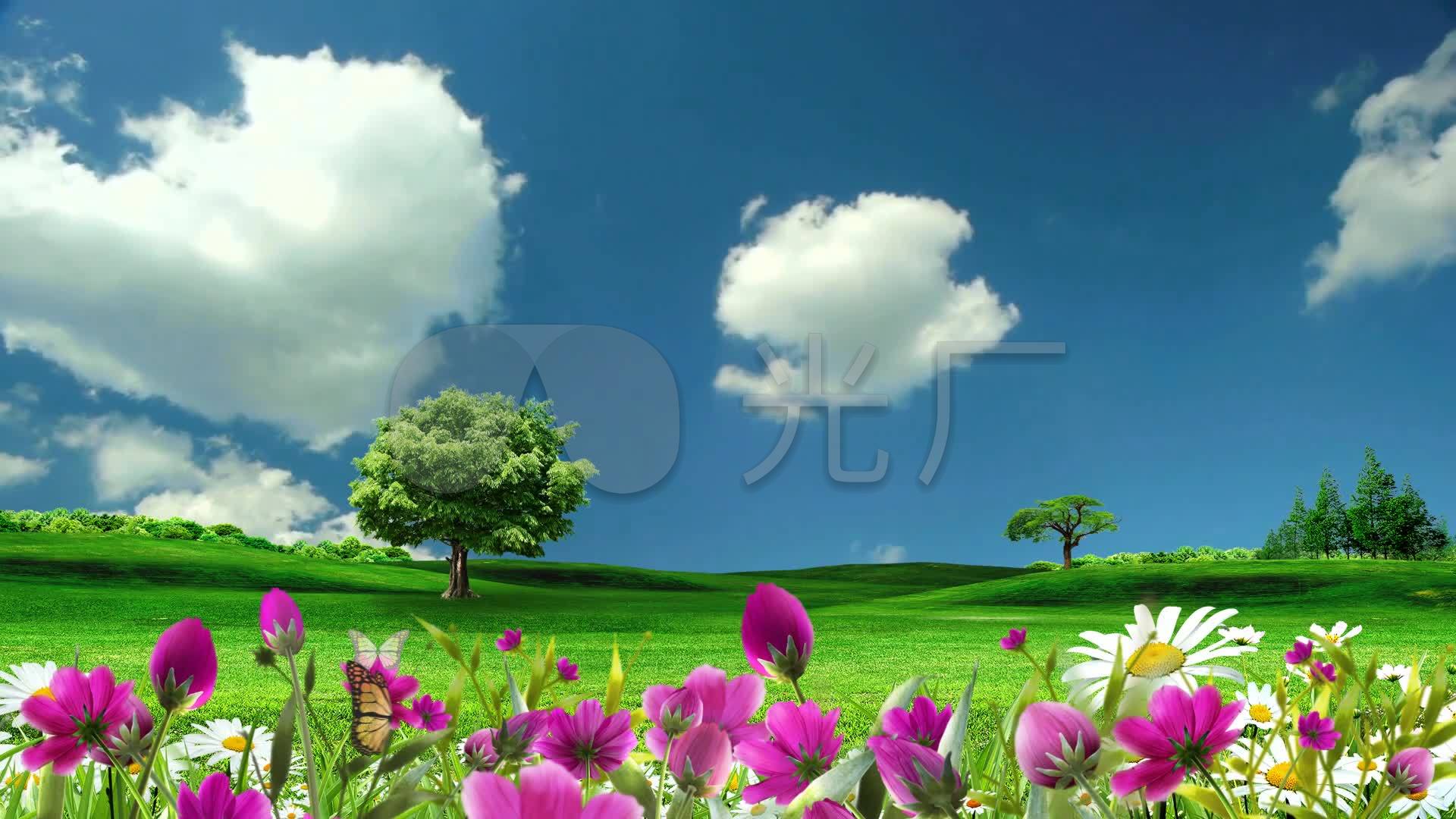 美丽草原蓝天白云鲜花
