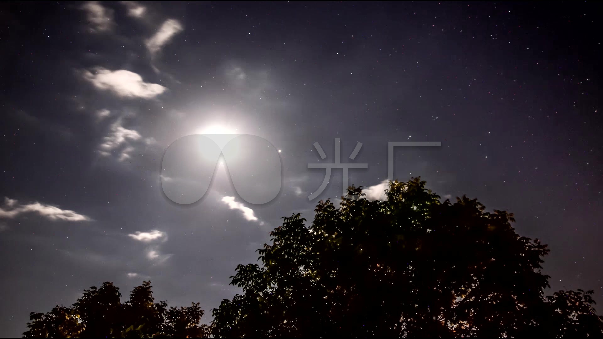 树梢天空太阳月亮星星云朵延时实拍视频素材