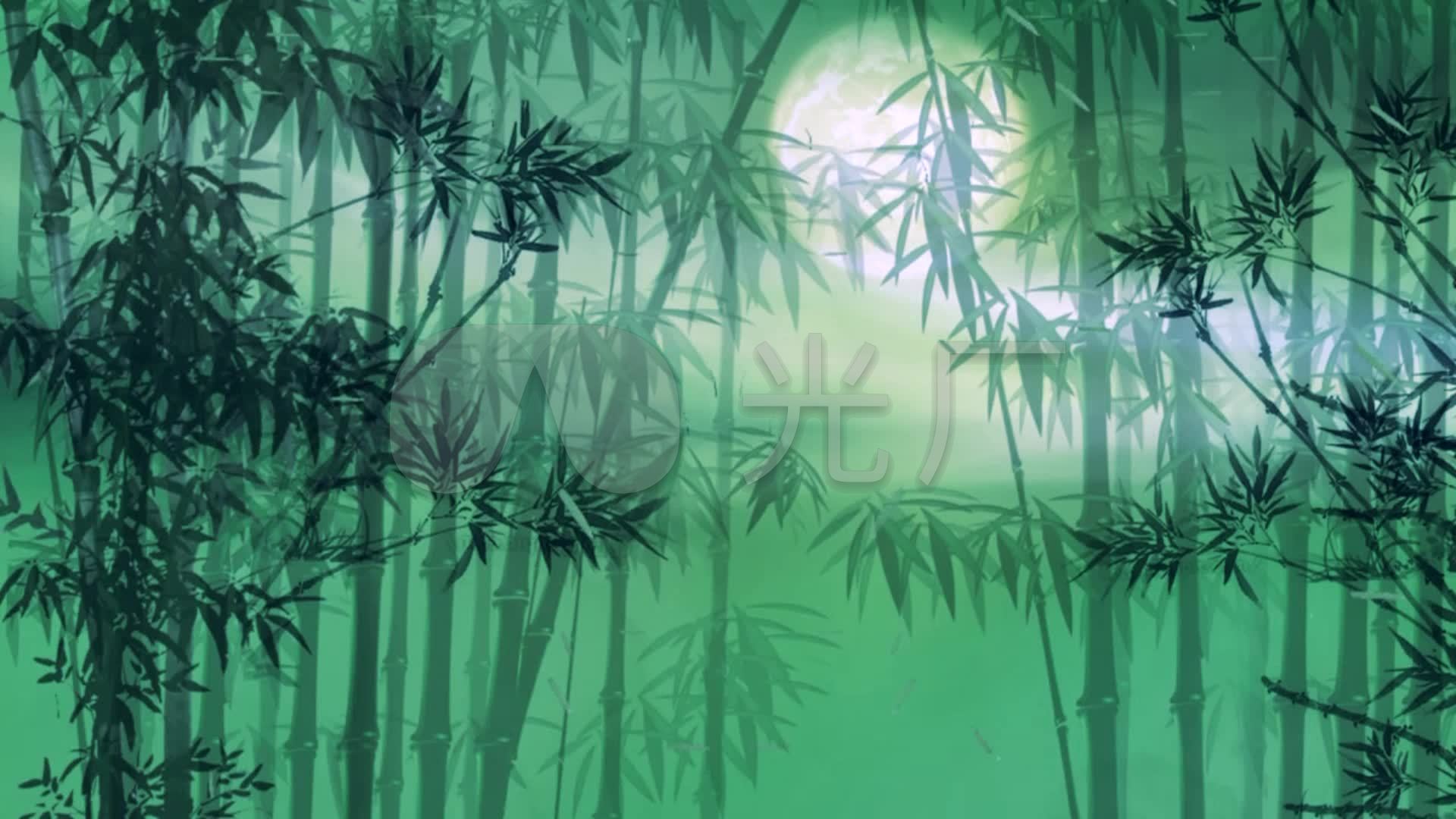 月光竹影月光下的凤尾竹