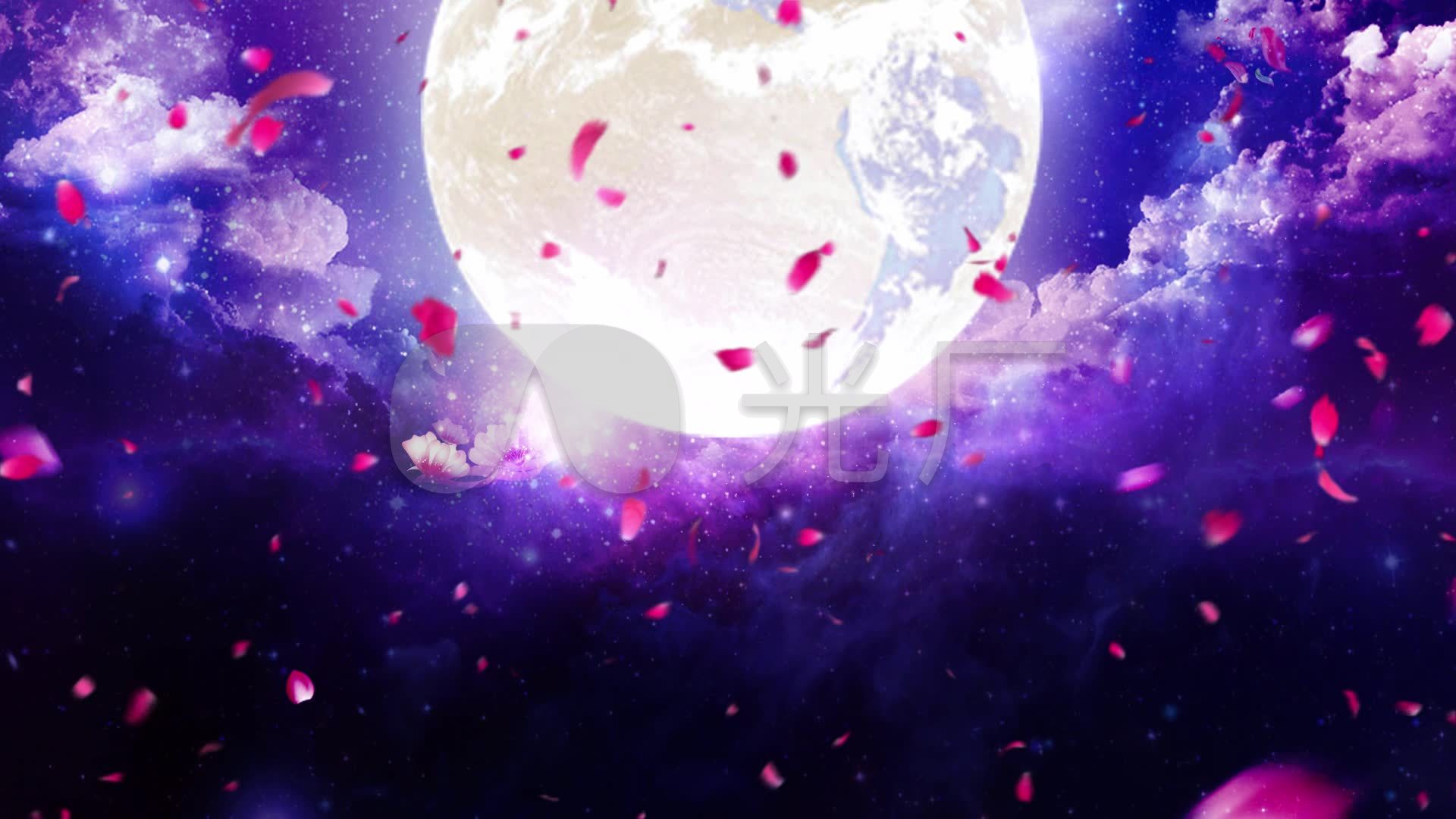 花瓣月亮星空中秋节
