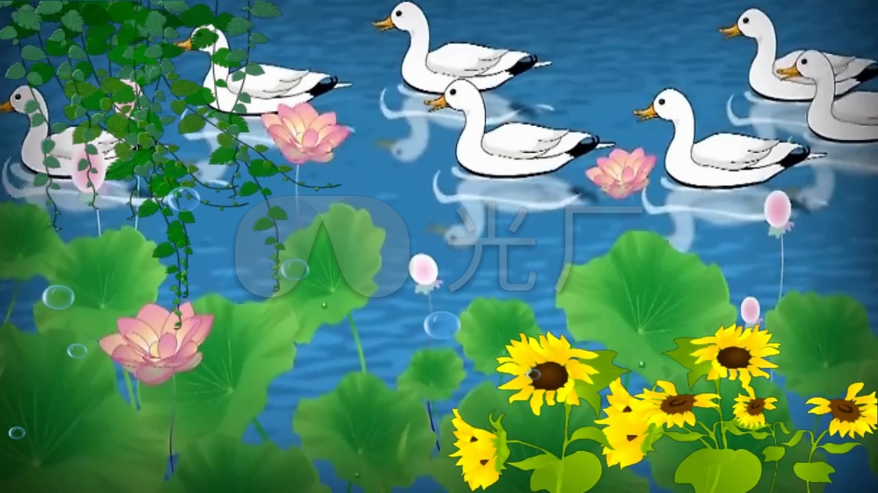卡通池塘荷花一群鸭子_1280x720_高清视频素材下载(:)