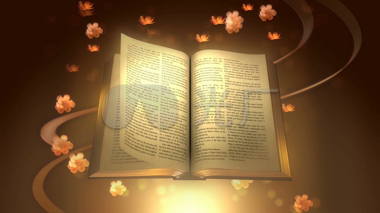 圣经翻动花瓣彩带书