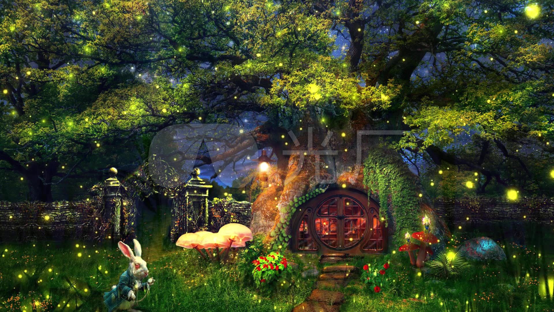 唯美童话森林萤火虫背景视频_1920x1080_高清视频素材
