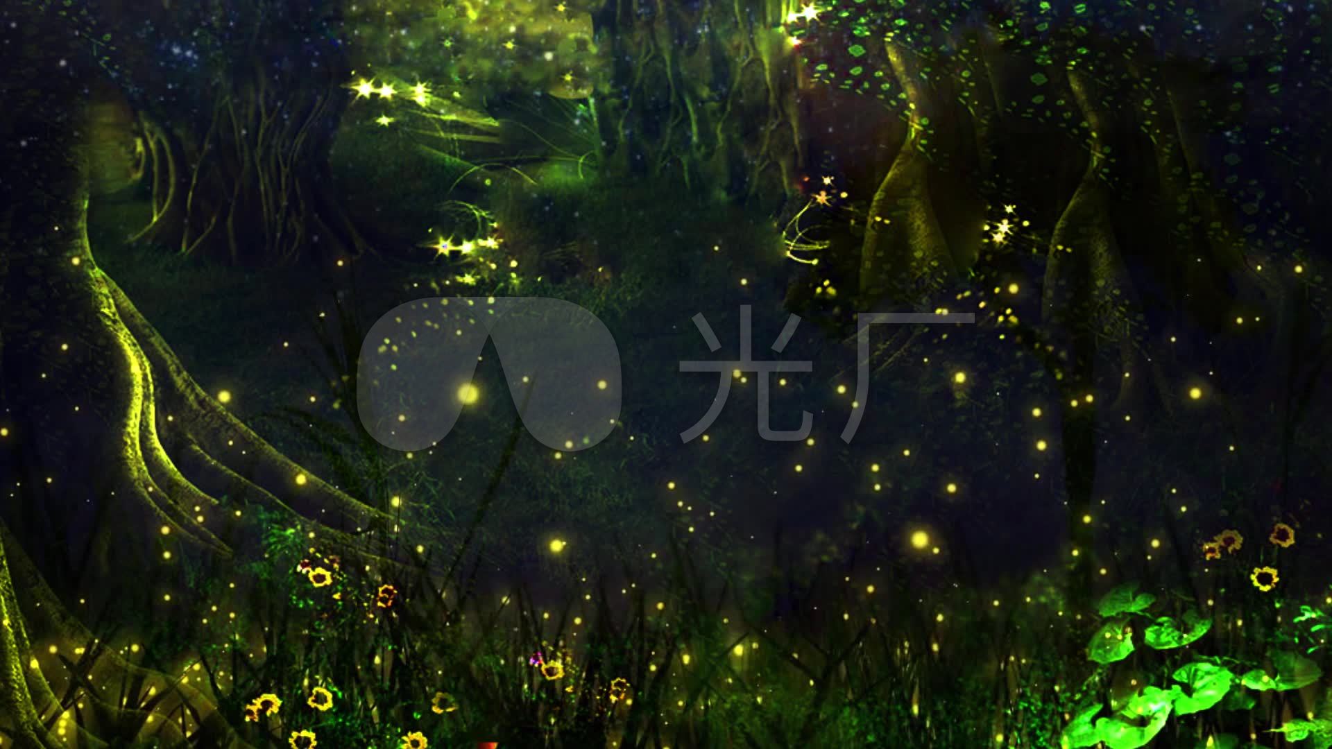 唯美梦幻森林萤火虫背景视频_1920x1080_高清视频素材下载(编号