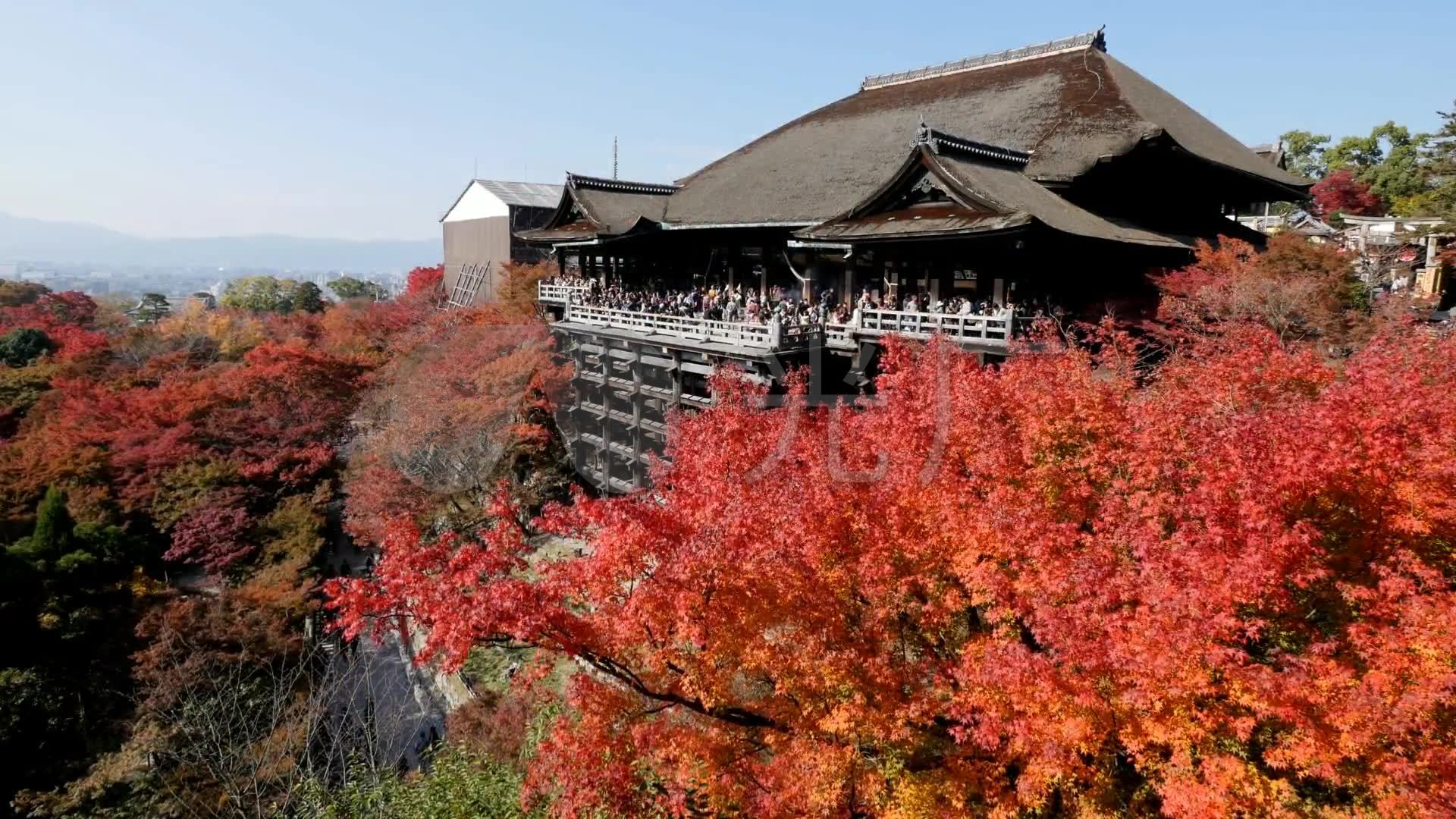 日本清水寺高清实拍素材视频