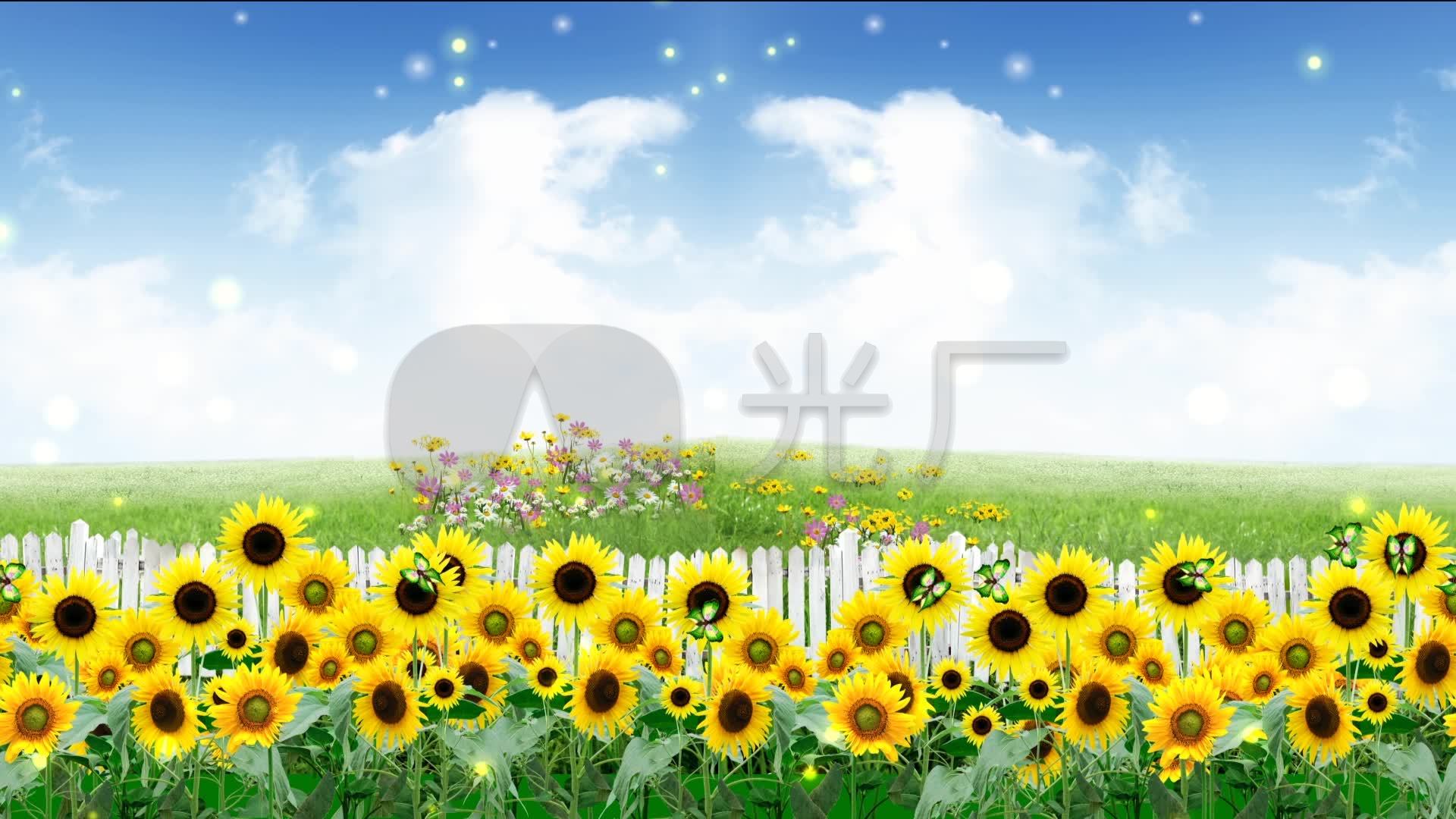 向日葵卡通儿童节歌曲文艺演出led大屏幕_1920x1080_高清视频素材下载