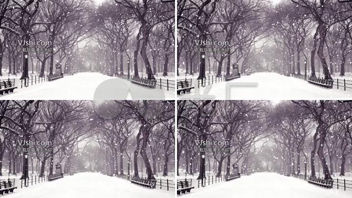 雪天街道树木背景视频
