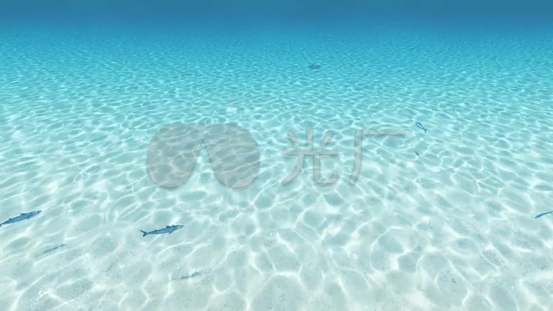 清澈透明的水面_1920x1080_高清视频素材下载(编号:)