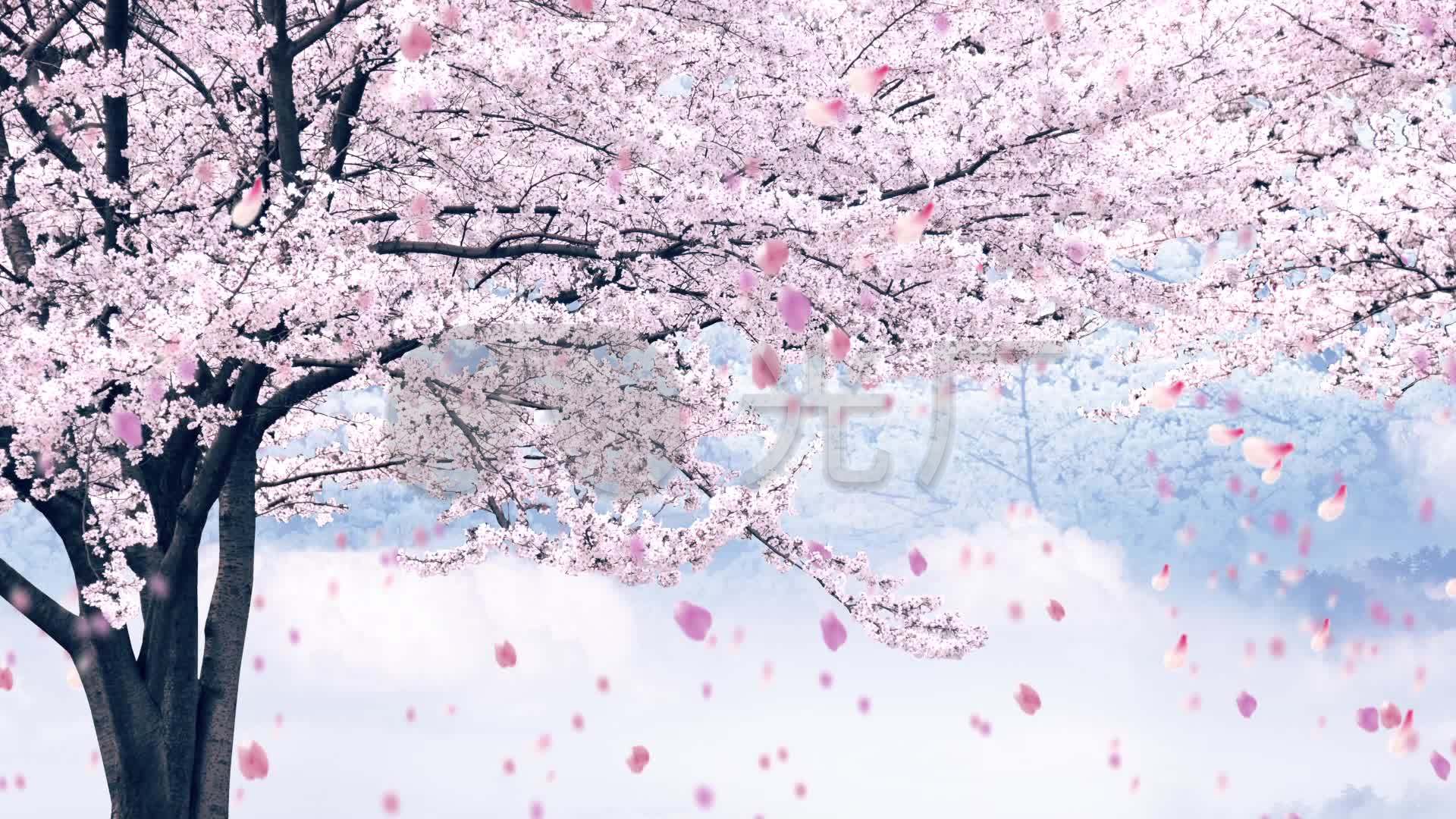 背景云中桃花树_1920x1080_高清视频素材下载(编号:678401)_舞台背景