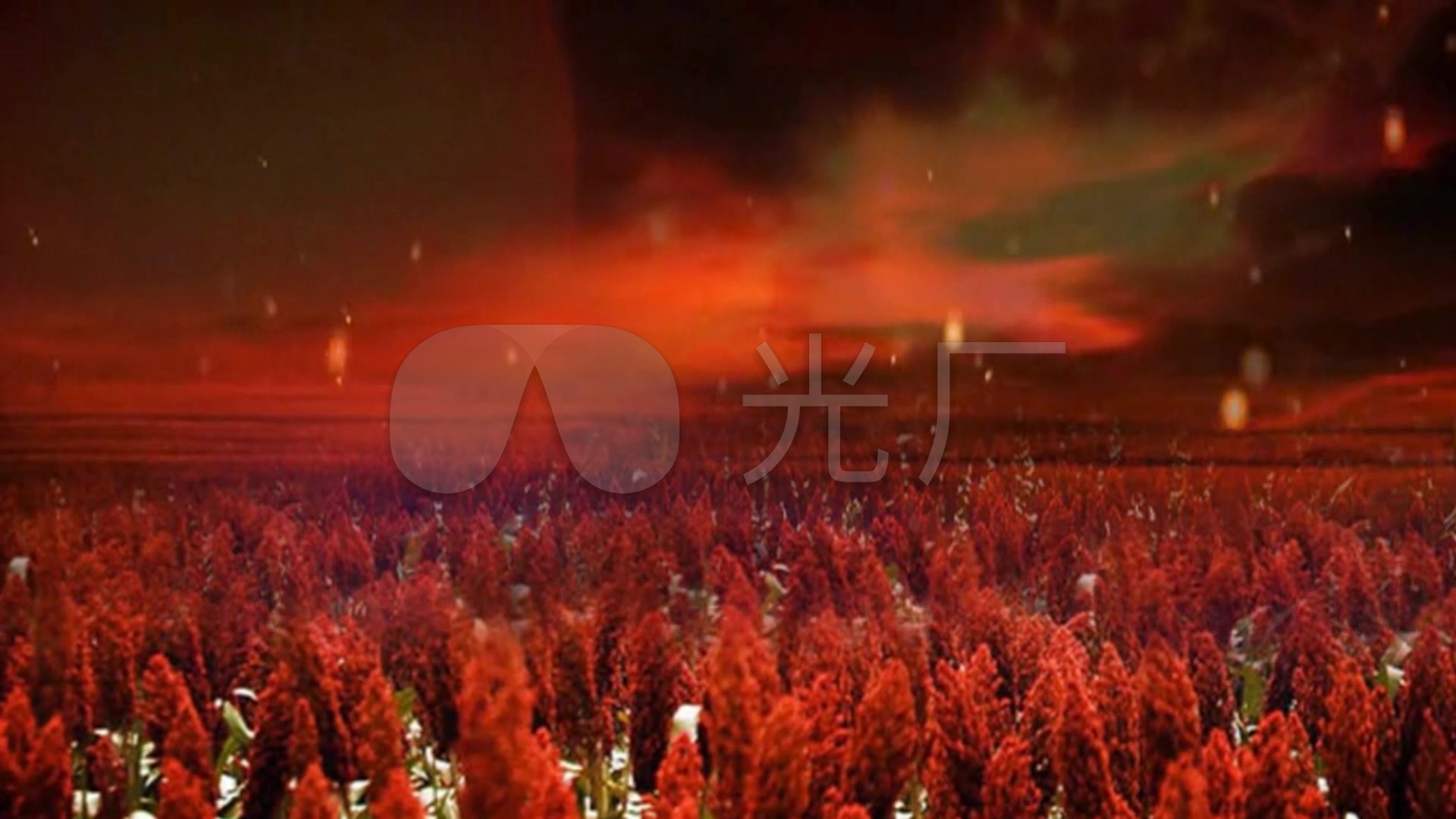 红高粱九儿舞台背景led动态视频_1920x1080_高清视频素材下载(编号