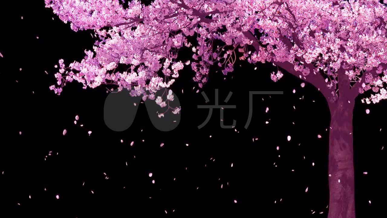 动感樱花树花瓣飘飞a_1280x720_高清视频素材下载(:)