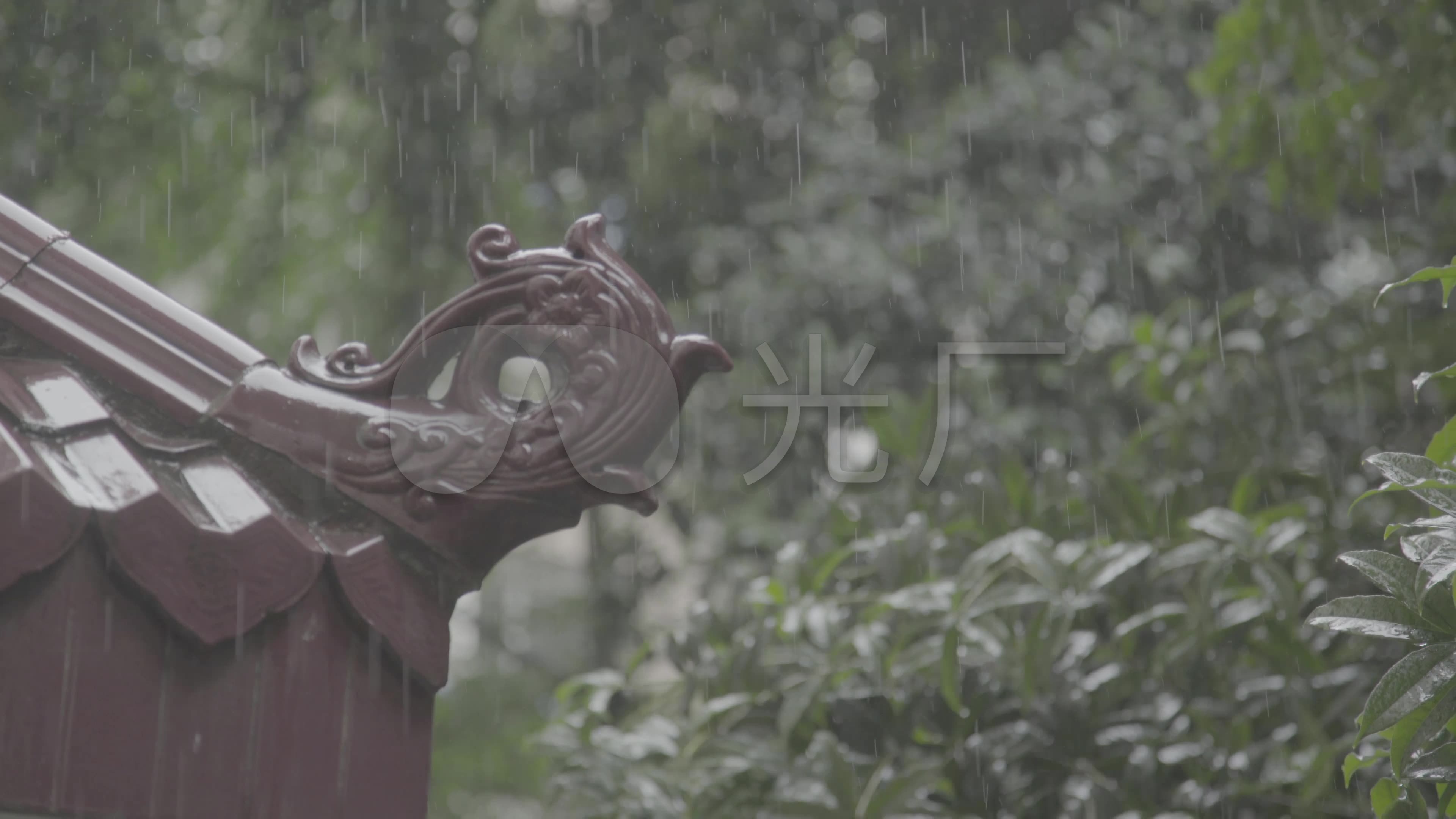 雨屋檐灯笼植物_3840x2160_高清视频素材下载(编号:)