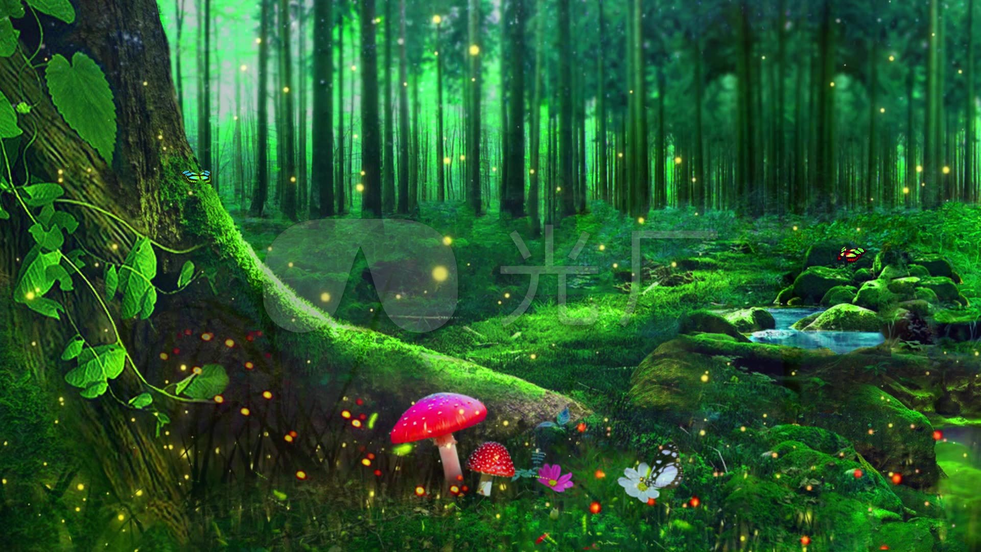 唯美绿色森林萤火虫蝴蝶蘑菇背景视频
