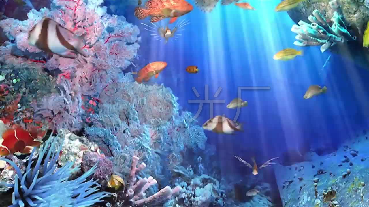 海底世界珊瑚海