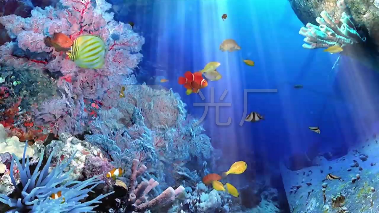 海底世界珊瑚海