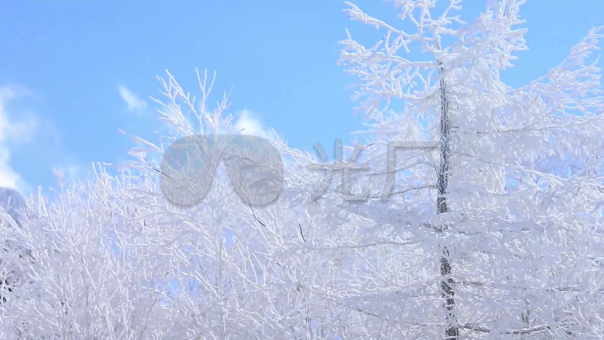 唯美雾凇_1920x1080_高清视频素材下载(编号:756604)_实拍视频_vj师网