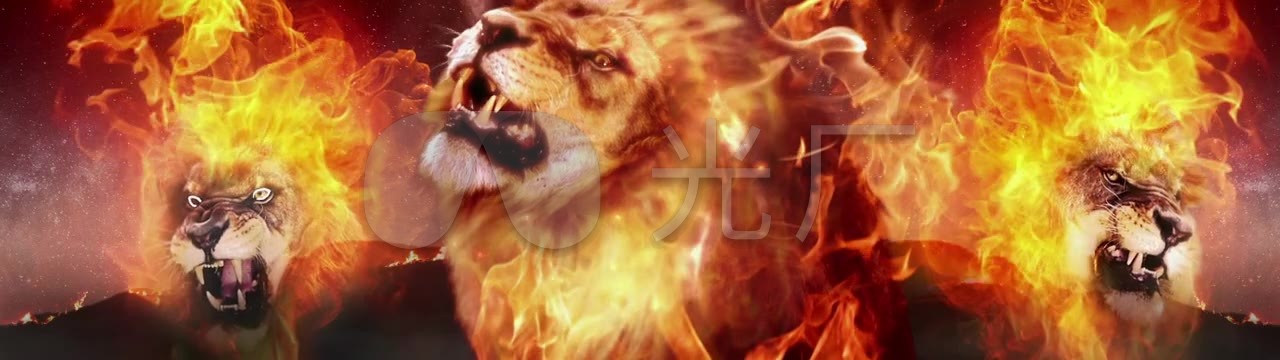 火焰狮子吼_1280x360_高清视频素材下载(编号:767221)