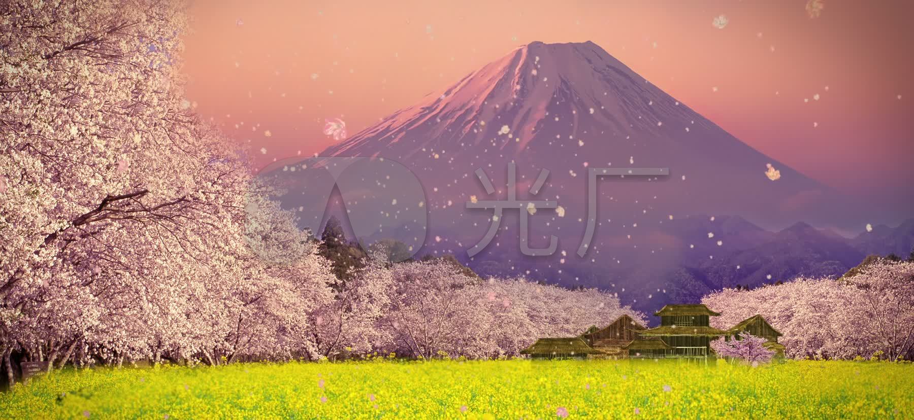 日本富士山樱花唯美_1800X828_高清视频素材