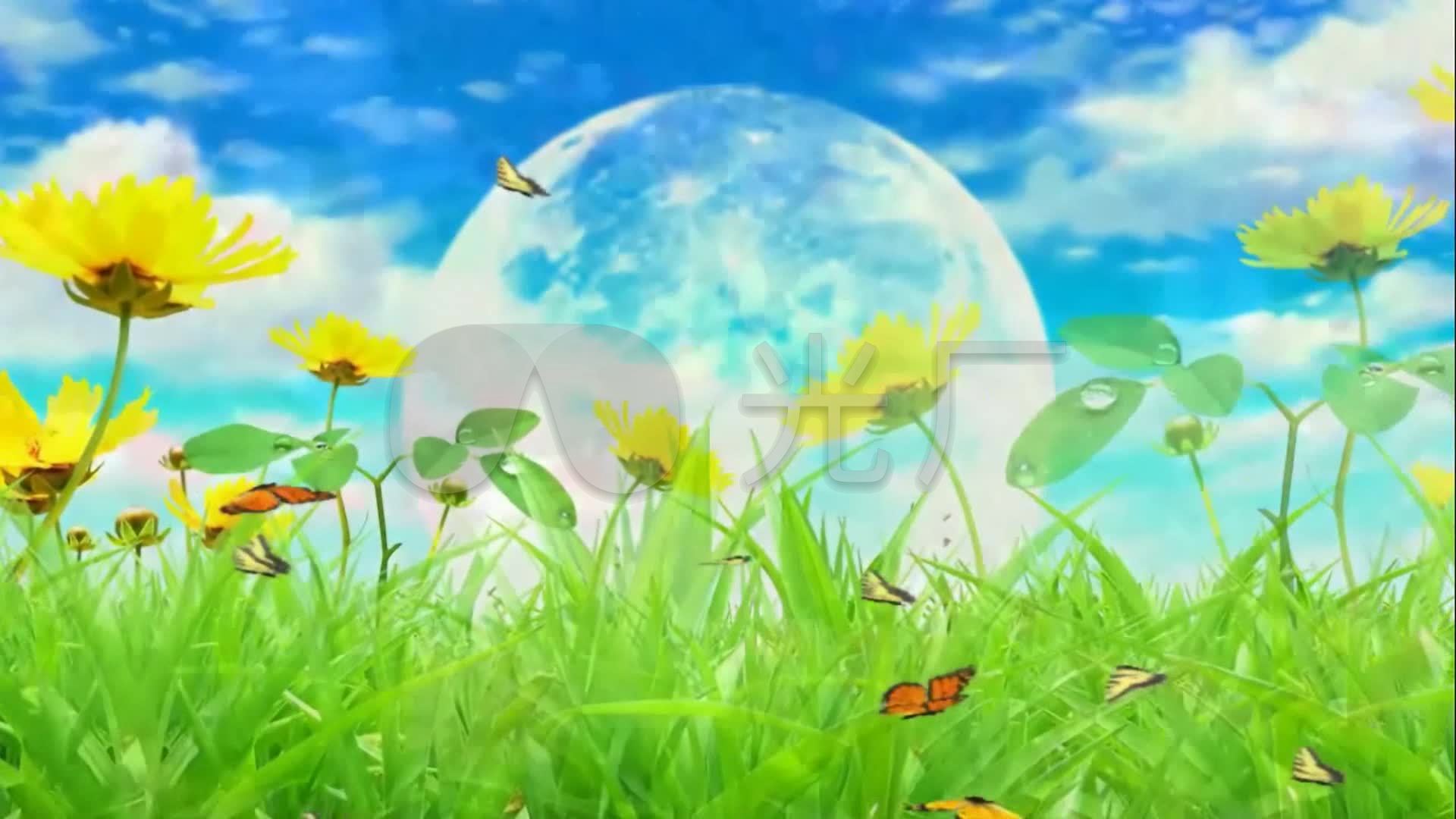 歌曲舞蹈《生如夏花》背景视频_1920x1080_高清视频
