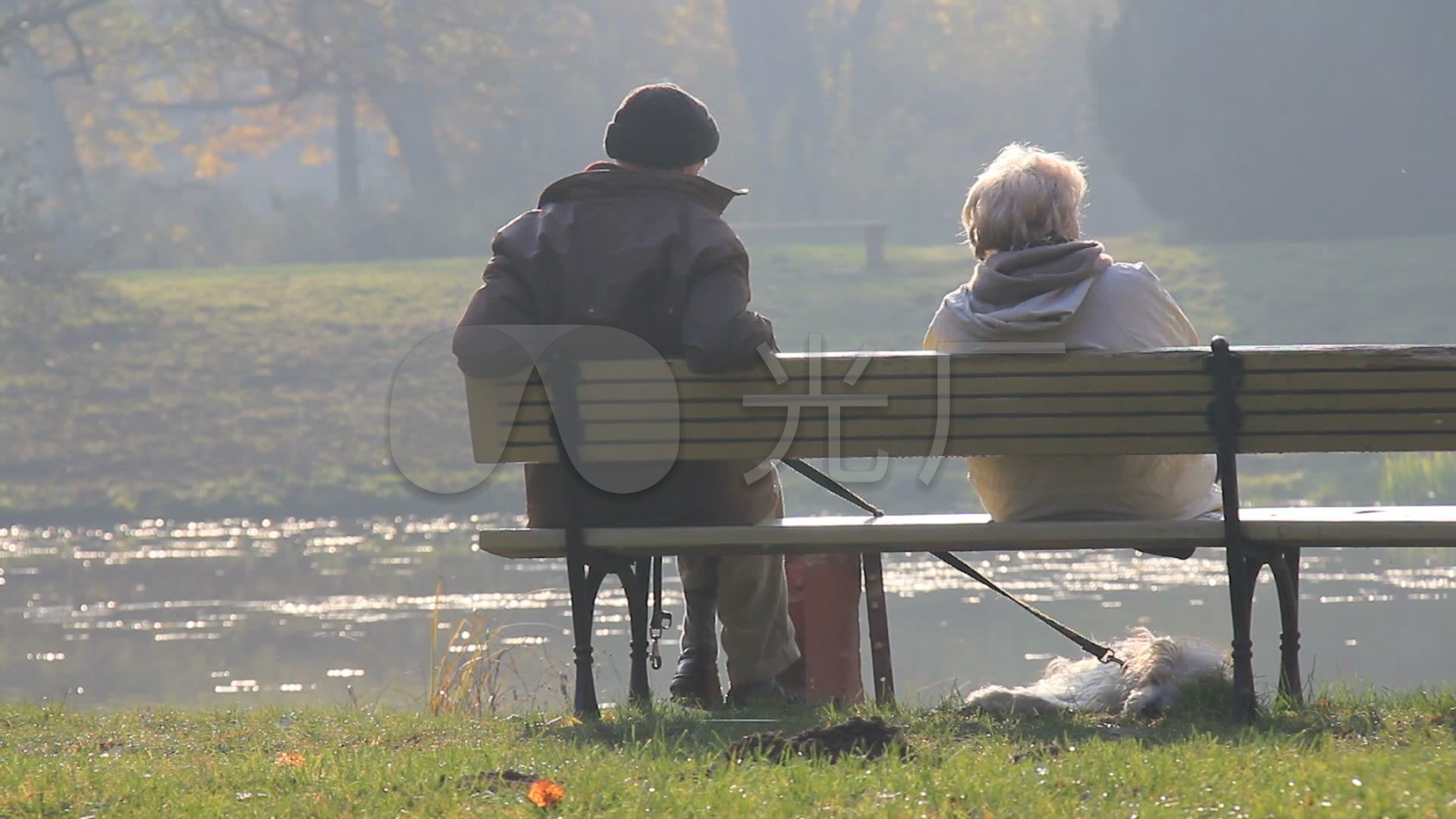 老年人夫妇和一只小狗在公园长椅上静坐