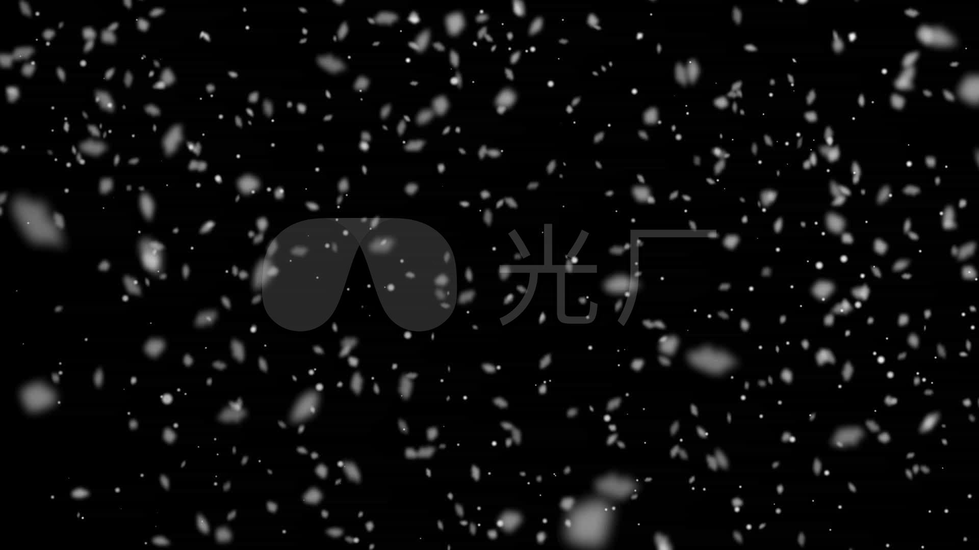 下雪飘雪_1920x1080_高清视频素材下载(编号:778690)