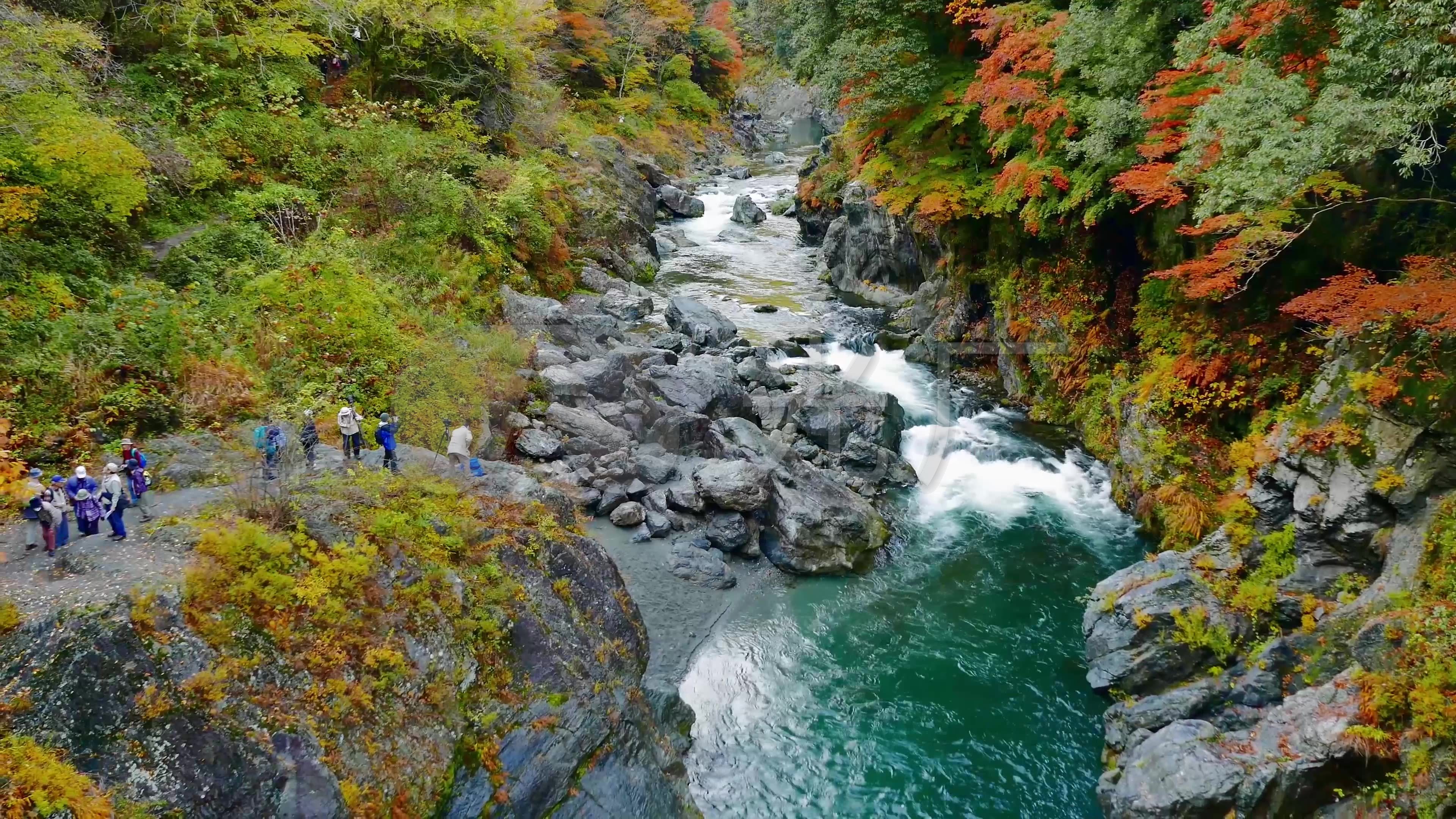 山谷秋天森林小溪美景_3840x2160_高清视频素材下载(编号:788009)