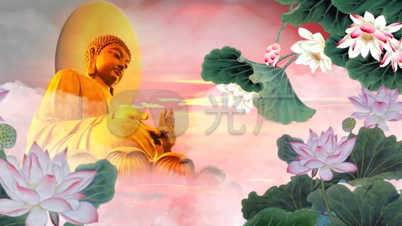 大佛阿弥陀佛莲花云光晕_1280x720_高清视频素材下载