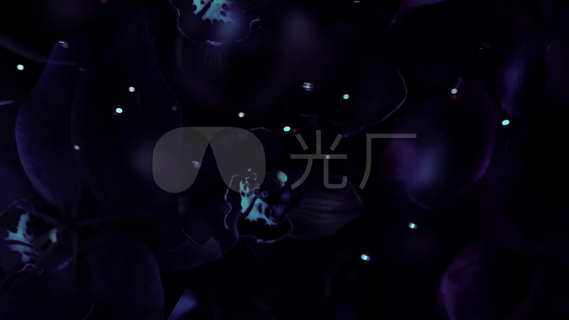 唯美意境梦幻高冷背景_1920x1080_高清视频素材下载
